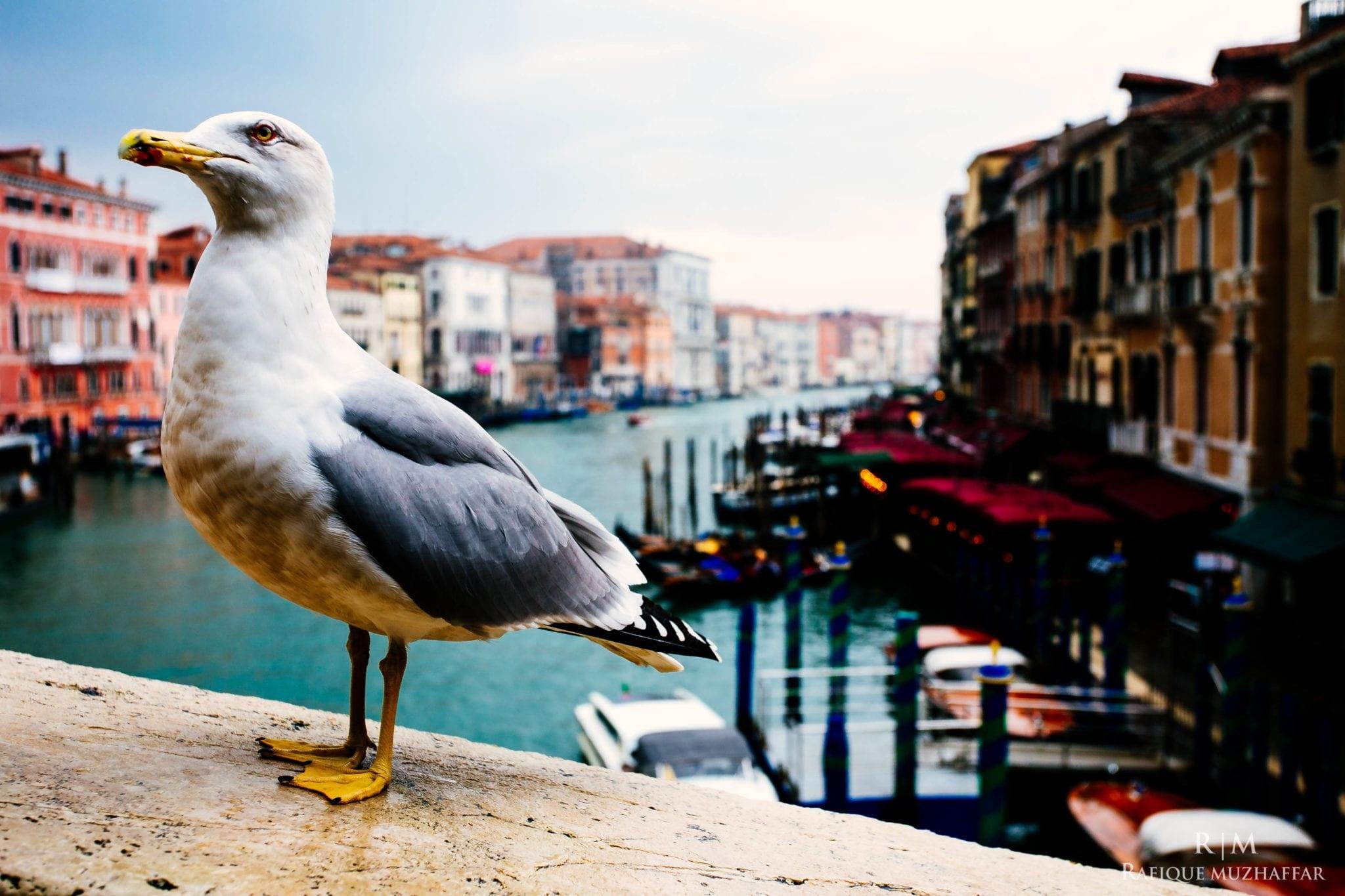 Italy